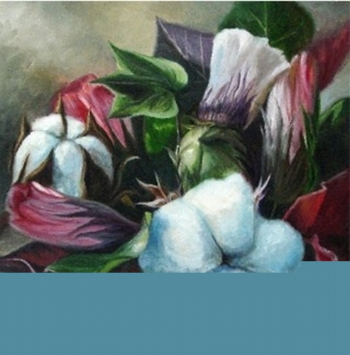 The Colors of Cotton